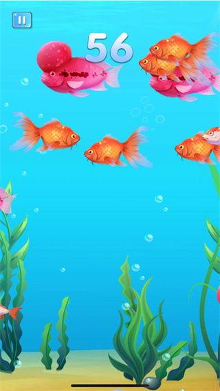 小鱼吃大鱼,小鱼如何逆袭大鱼